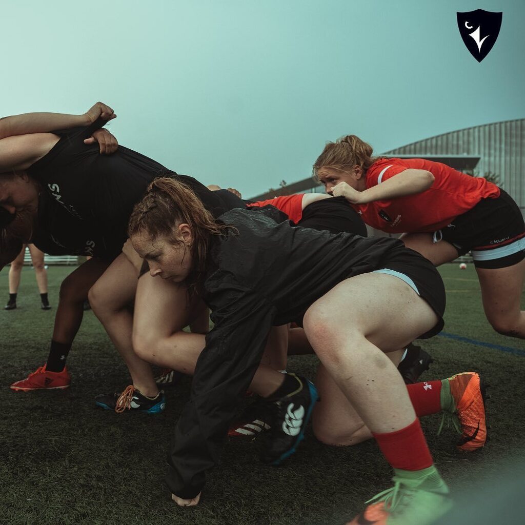 CURavensRugby's tweet photo. When September 1st is right around the cornerβ¦ π
πΈ: @itsnabsahmed
#curavens #curavensrugby #flockwithus #bigdogsareback #backinblack https://t.co/97MTxGnhLi https://t.co/GILfY22Mdz