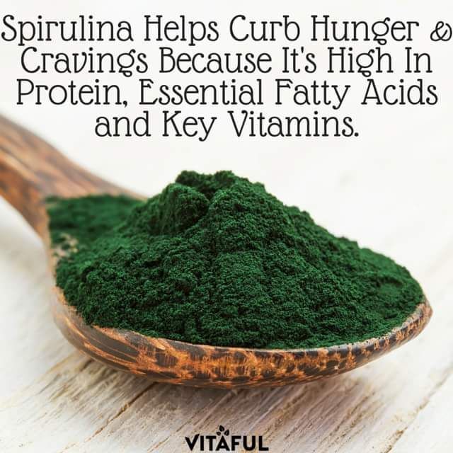 Organic Live Food on Twitter Spirulina and Chlorella are