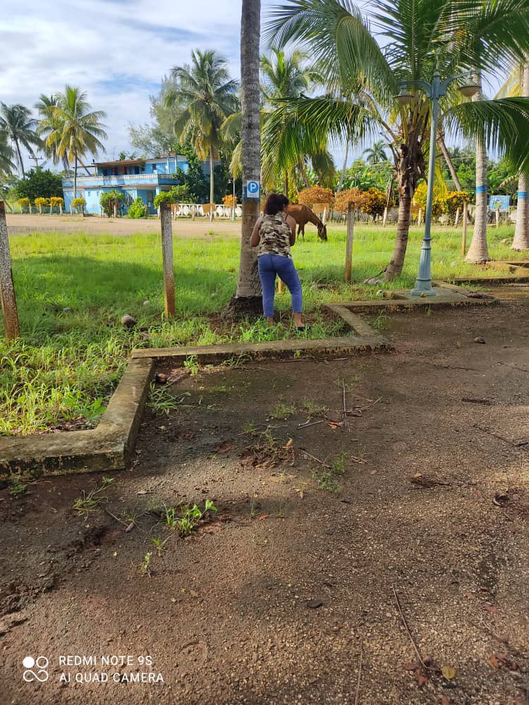 Recorre la Brigada autofocal las áreas de la instalación para mantener la Empresa limpia y saneada 
#emrohc
#MatancerosEnVictoria
