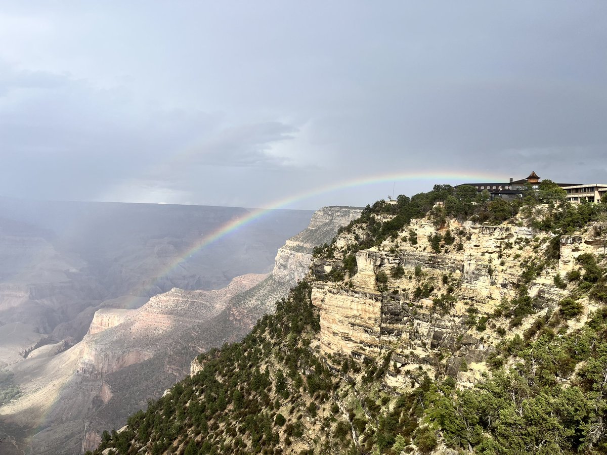 Stephanie Cates tweet media