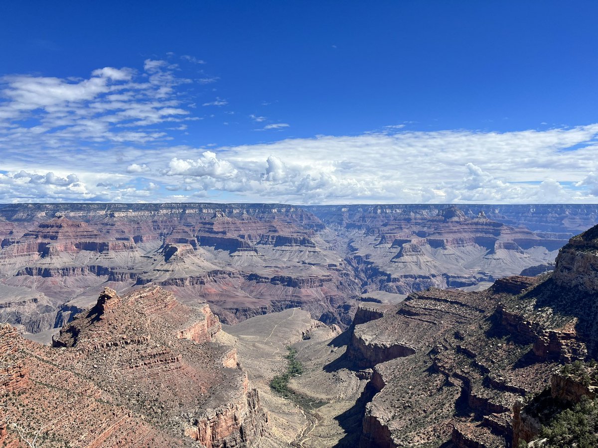 Stephanie Cates tweet media