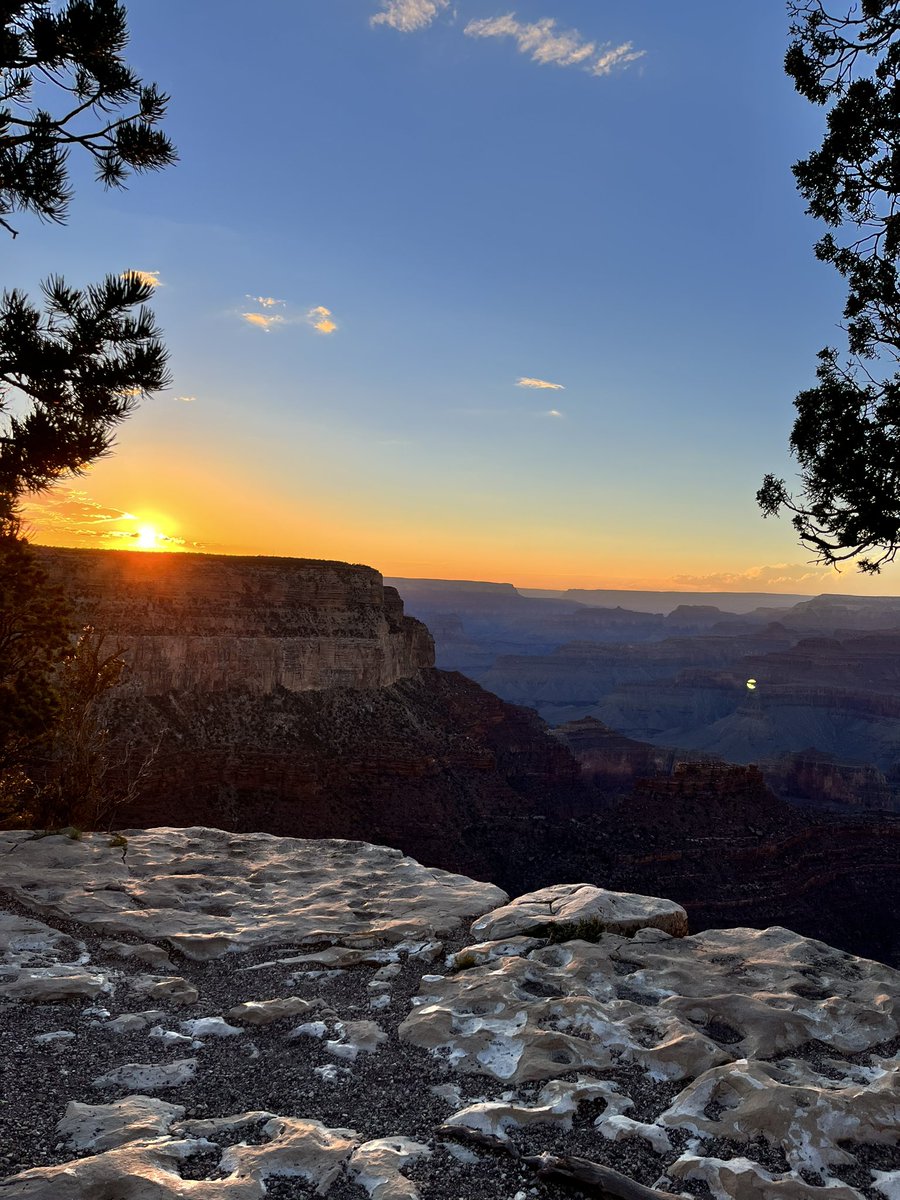 Stephanie Cates tweet media