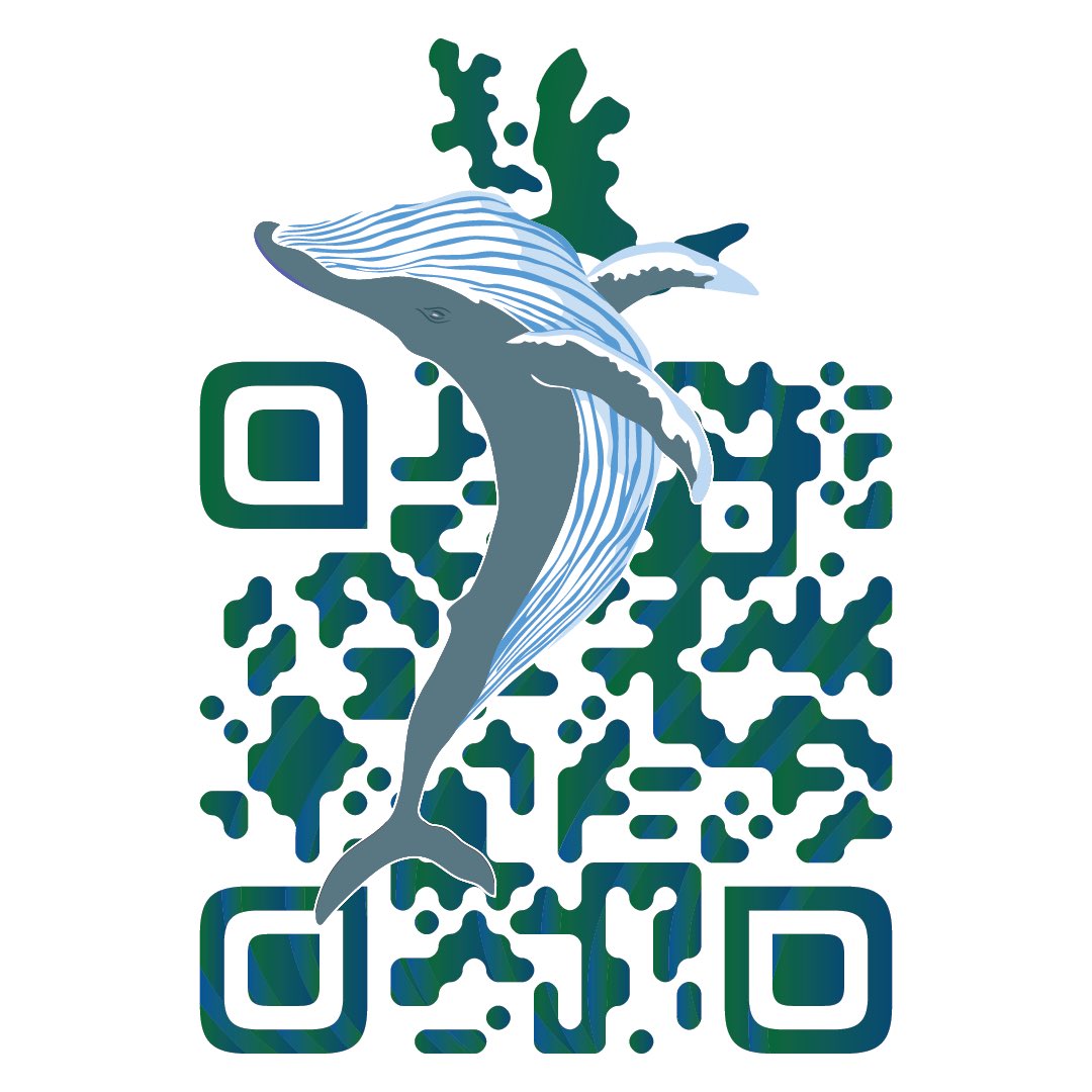 Scannable NFTs tweet media