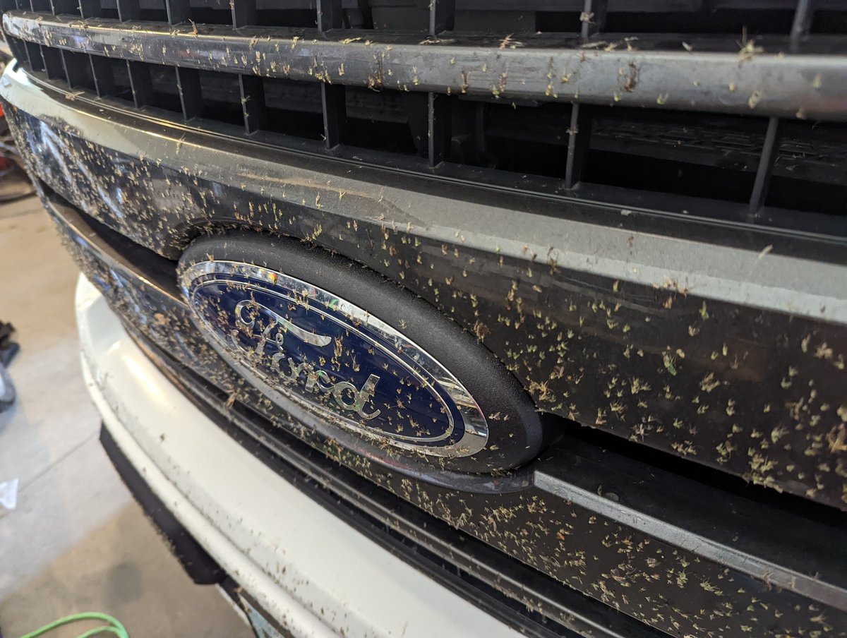 torchaser's tweet photo. Go storm chasing they said.  It'll be fun they said.  Until you need to clean 368.9 miles worth of bug guts off your truck!  #VNLFirstAlert #stormchaserproblems https://t.co/jvIRHALdYM