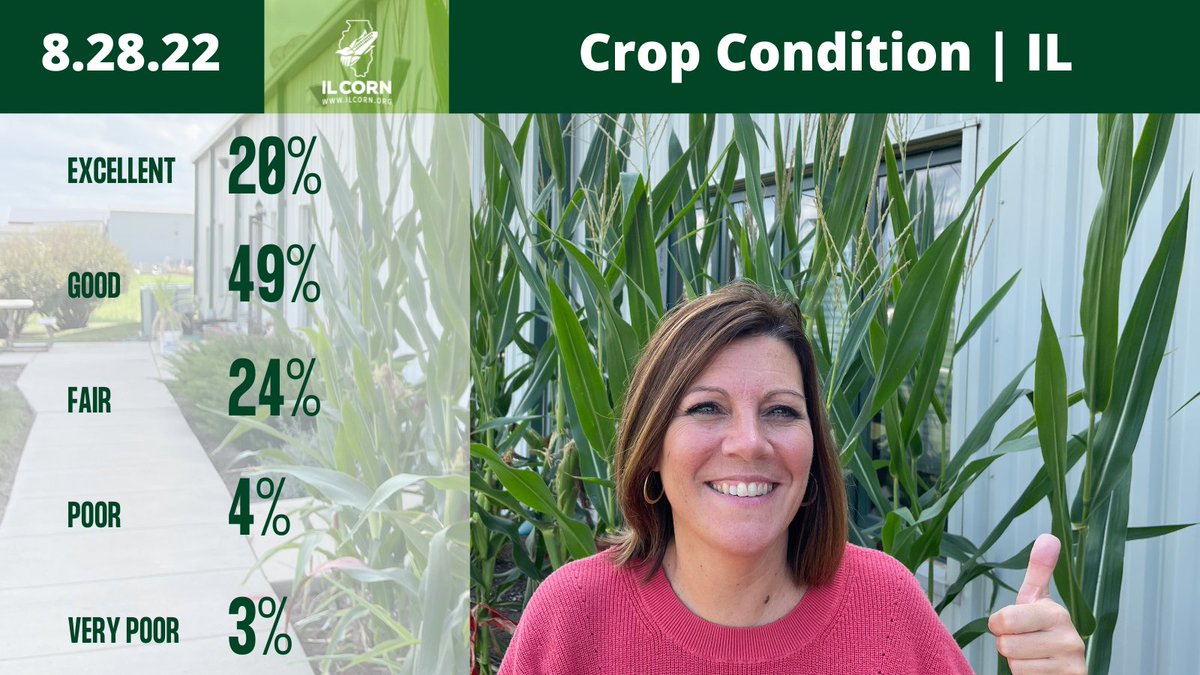 ilcorn's tweet photo. We convinced Dana to be our crop condition reporter this week next to our planted corn in the office. 49% Good is Good! Thanks Dana
*stats from USDA NASS
#farmlife #illinois #cropcondition https://t.co/BTePgmWHFF