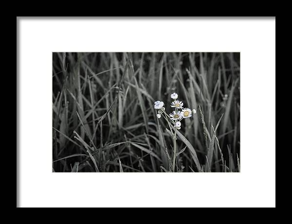 denisew428's tweet photo. #selectivecolor #wildflowers #framedflowerart #flowerphotography #selectivecolorphotography #yellow #BuyIntoArt #FindArtThisSummer #ShopEarly
https://t.co/0x3tWBnZID https://t.co/mUqA1VbX4u