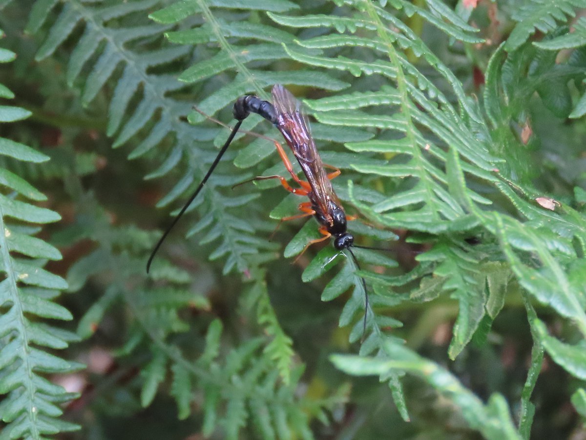 Kevin Bradshaw tweet media