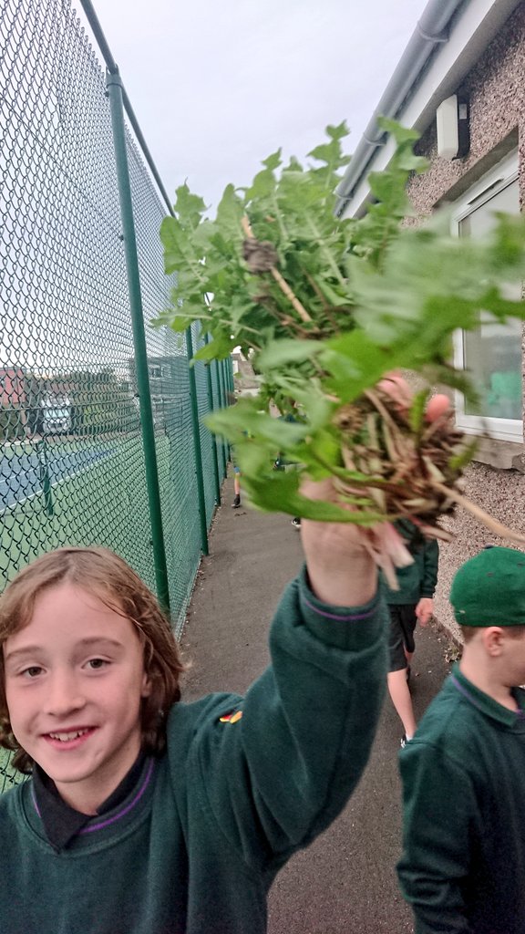 Longniddry Scouts tweet media