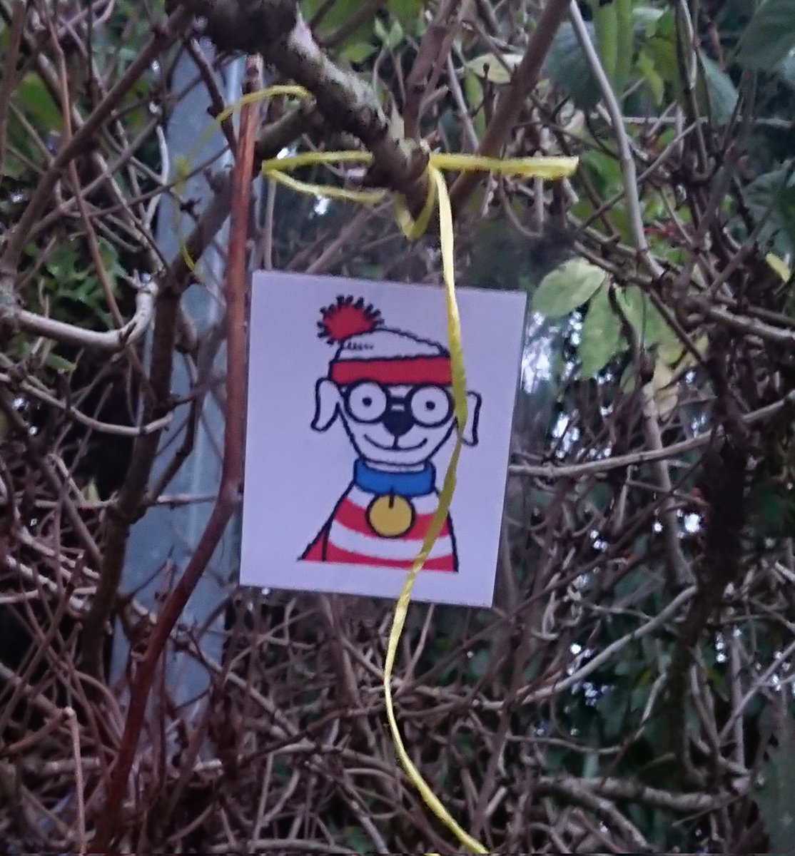 Longniddry Scouts tweet media