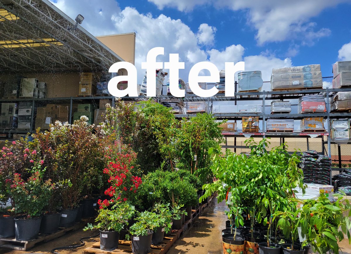 LeahKirkpatri17's tweet photo. Tired but felt great after clean up and retouched our barrels,pots,plants, and fruit trees... https://t.co/7TPFnwdHMX