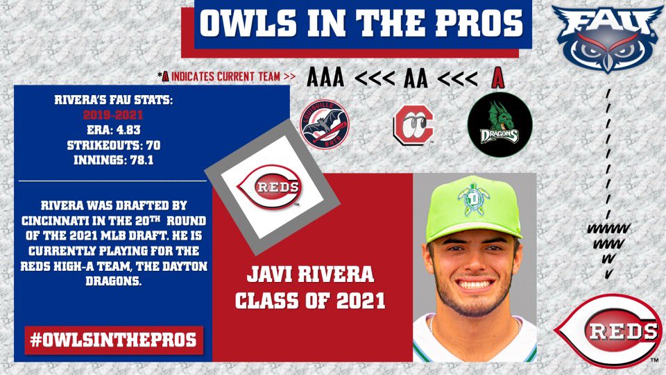 An update on #OwlsInThePros