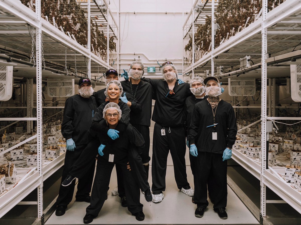 Sugarbud's people and teams bring a strong commitment to quality and a passion for providing exceptional select batch craft cannabis, for the most discerning consumers. It is this shared drive for excellence everyday that is the foundation of our continued growth and success.