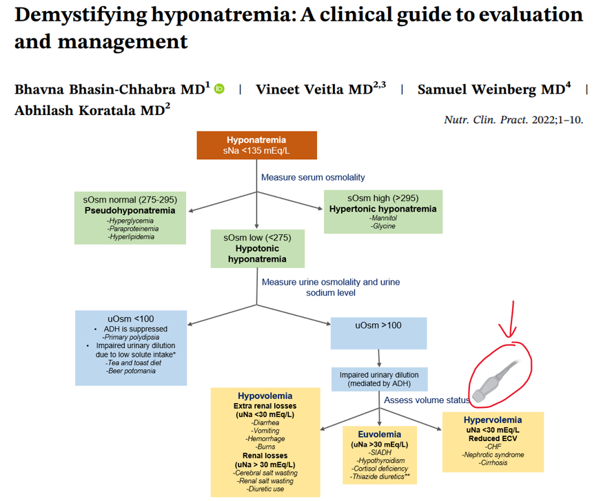 NephroP's tweet photo. Finally a #hyponatremia algorithm that includes the missing component (#POCUS).
Great job @BhavnaBhasin1 and colleagues. Excited to be a part of it.
🔗https://t.co/Fl6enWmTco
#Nephpearls #MedEd https://t.co/LakQqvI1uo