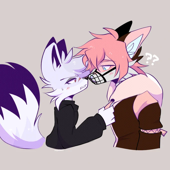 gay dogs cannot kiss 