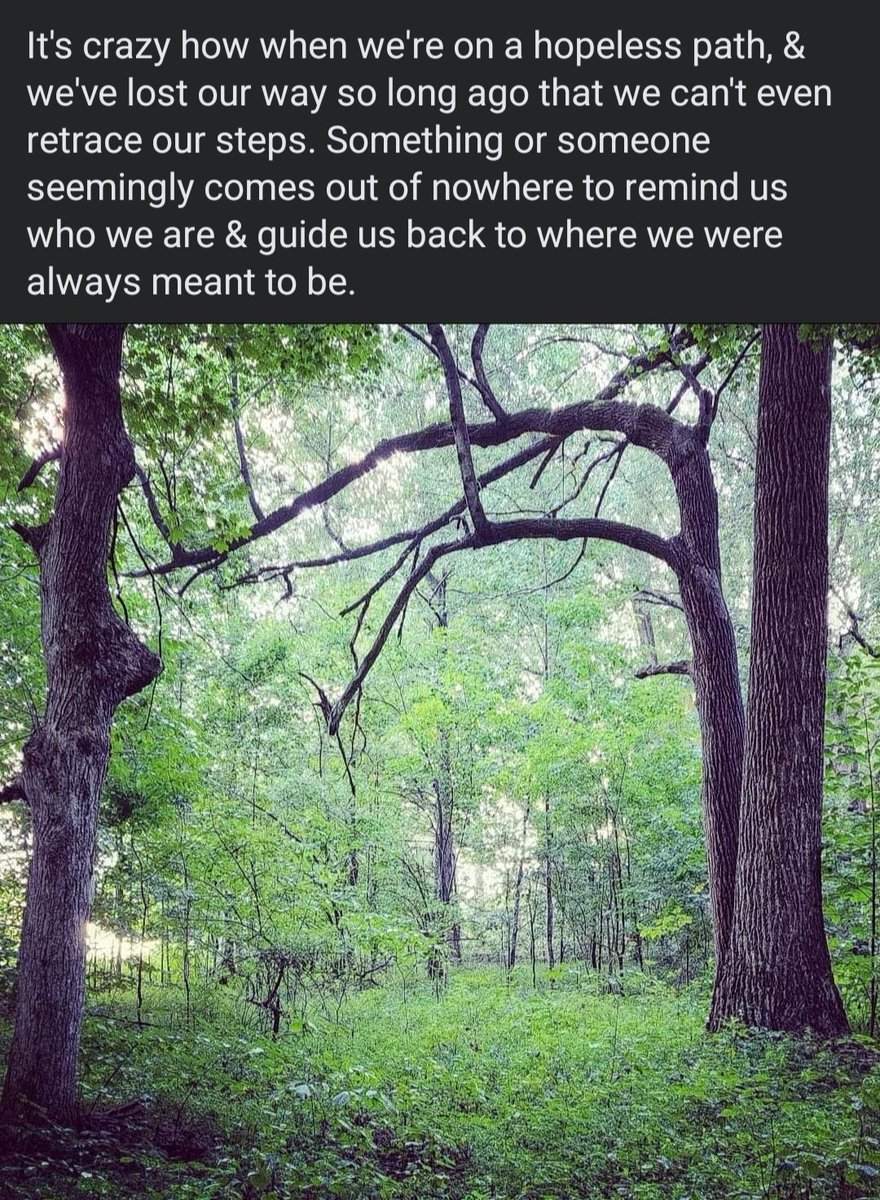 frequency__444's tweet photo. Not sharing his name, but DM shared this yesterday(yes we're friends on fakebook), he's not taking action but I think its safe to say he's aware/awake, all hope is not lost, learning my own lessons #gratitude #backonthepath @StevesLoveTarot @sexysoultribe https://t.co/algbgnRgUJ