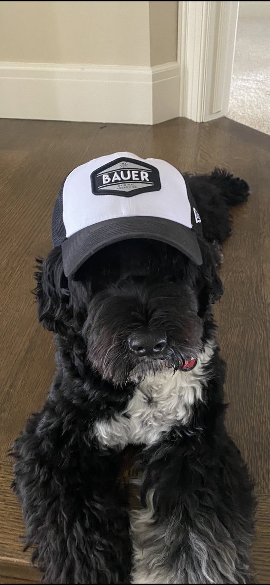 PerliniSurrey's tweet photo. Missin my bf Bauer #💕 https://t.co/lpptbGa6nW