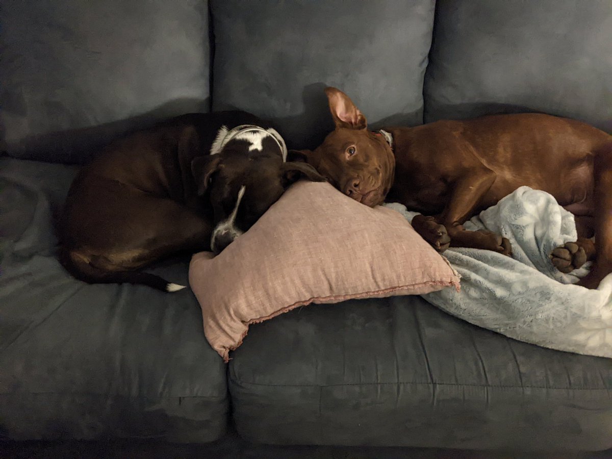 Andrew Santeusanio, PharmD tweet media