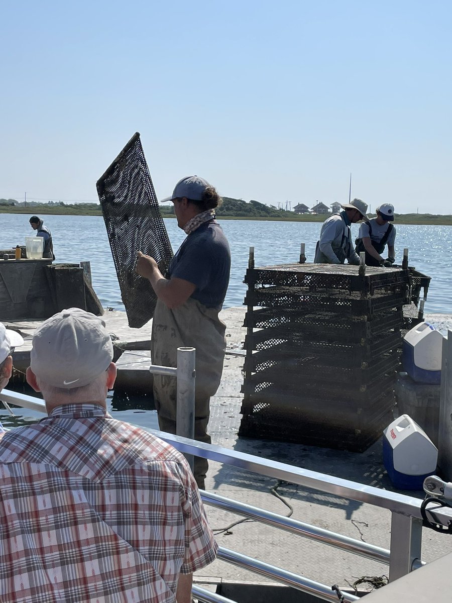 jenpvd's tweet photo. Thank-you @NEIDonors for the delightful (and delicious) morning touring an oyster farm with the Network of Engaged International Donors. https://t.co/MF9IUBBMRk