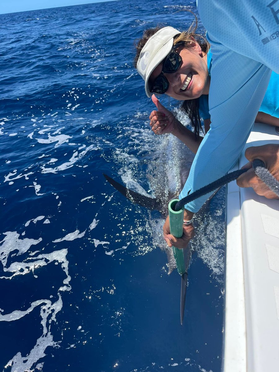 BillfishReport's tweet photo. La Gomera, Canary Islands - Noalex released a Blue Marlin. #CanaryIslands #BlueMarlin https://t.co/adOTXuqK5y