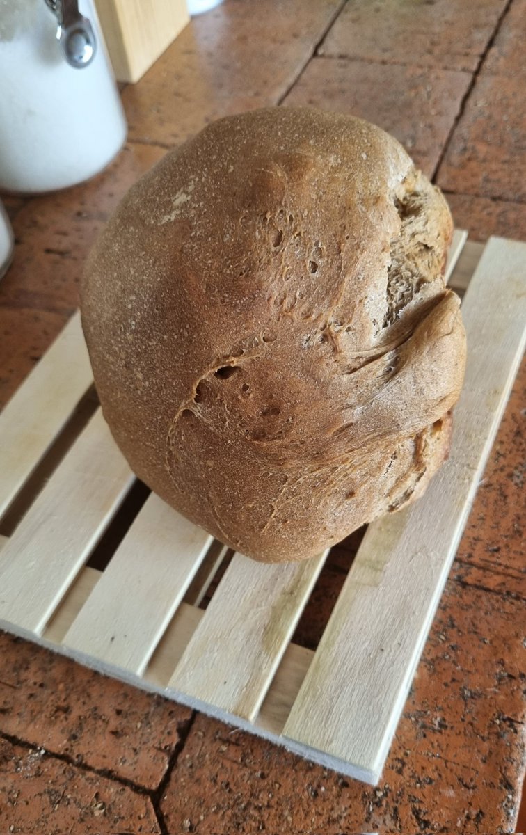 AddictThe2's tweet photo. One of the last breads that I've baked in my current house.
A few more and then no more here.
And the region where I'm moving is famous for their bread and agriculture ππππππππ
That's what recovery can allow me. And you too!
#RecoveryPosse
#preparingtomove https://t.co/FQnytItsIq