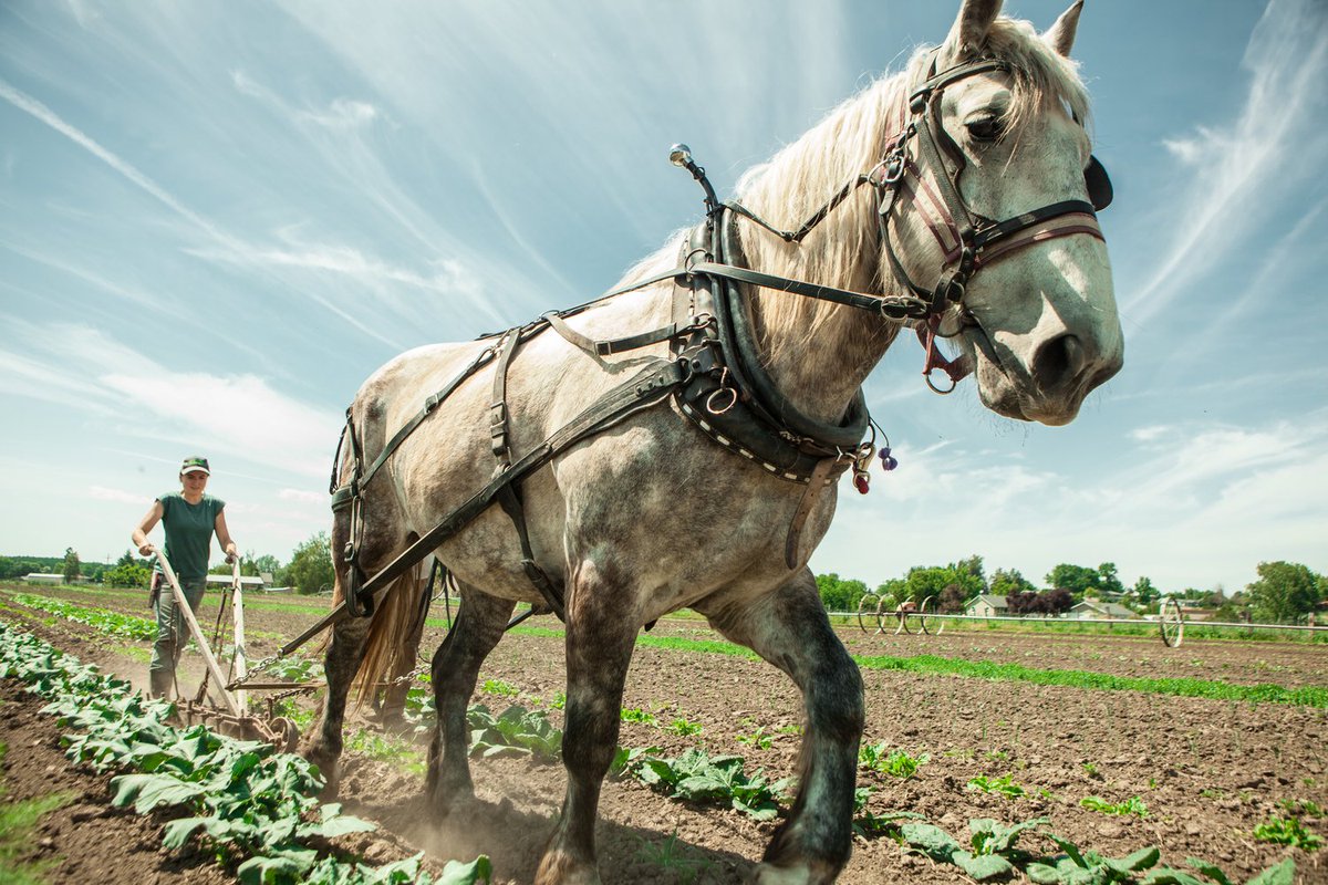Tilth Alliance tweet media