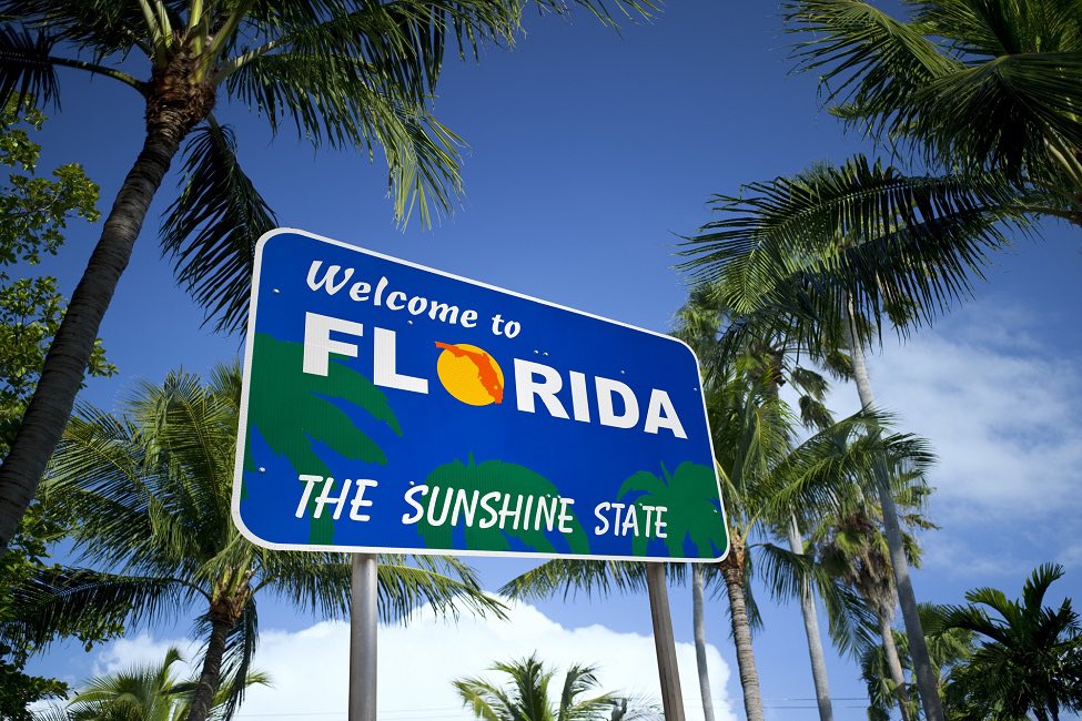 zeek904's tweet photo. Florida what’s good retweet if your in fl https://t.co/FAbPo3rw4J