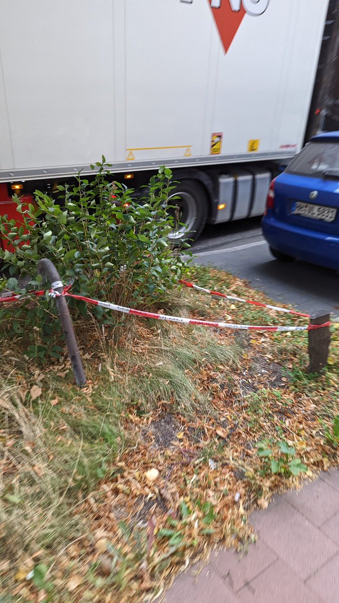 FlowAusHH's tweet photo. Moin @PolizeiHamburg, seit über 1 (!) Jahr ist hier irgendwas abgesperrt. https://t.co/AnWs1q1Ba0 (vor der @DieTechniker
Zentrale)

Was ist hier so besonders? Oder sollte @SRHnews das Mal entsorgen? 🌲🌳🎋☘️🌱💚 https://t.co/u7N100briJ