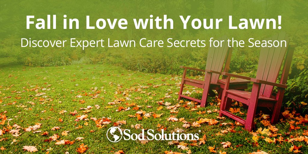 Sod Solutions tweet media