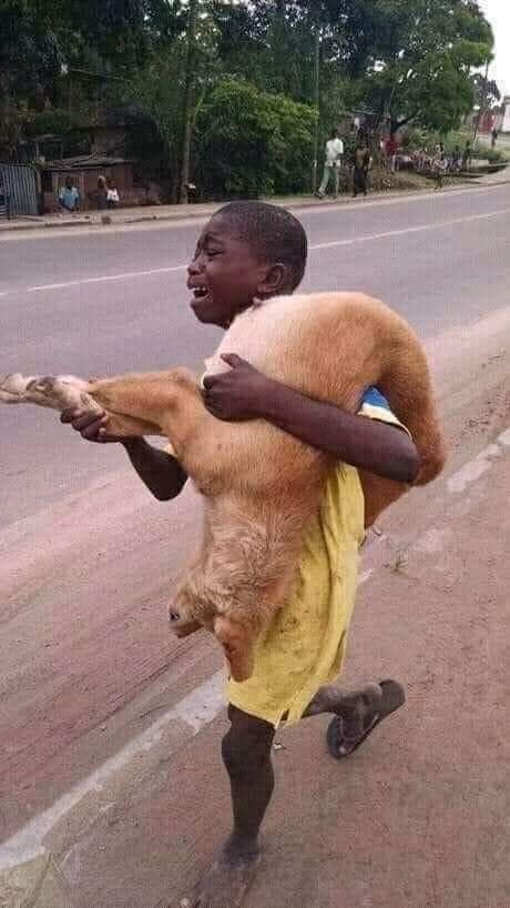 CapacityScdc's tweet photo. #NigerianMilitary...
When I came across this pix of a boy carrying &amp; crying over a dead dog, i felt the agonies of the Nigerian soldiers who knowing nothing about religion, politics, economy, banditry, but are risking their lives, dying daily due to bad leadership, etc...😢 https://t.co/8AJ3dTb0Iw
