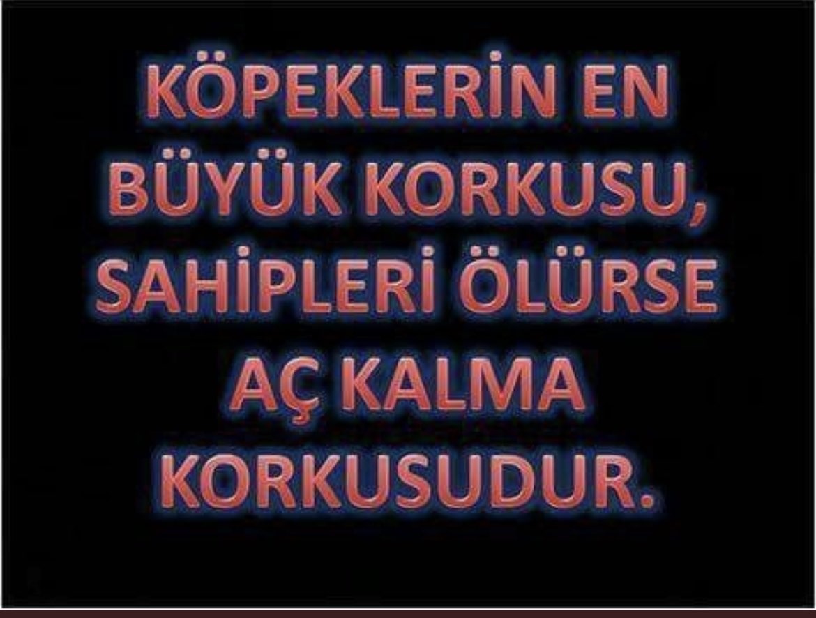 SrhtDemircioglu's tweet photo. https://t.co/0FeZbrXQWx