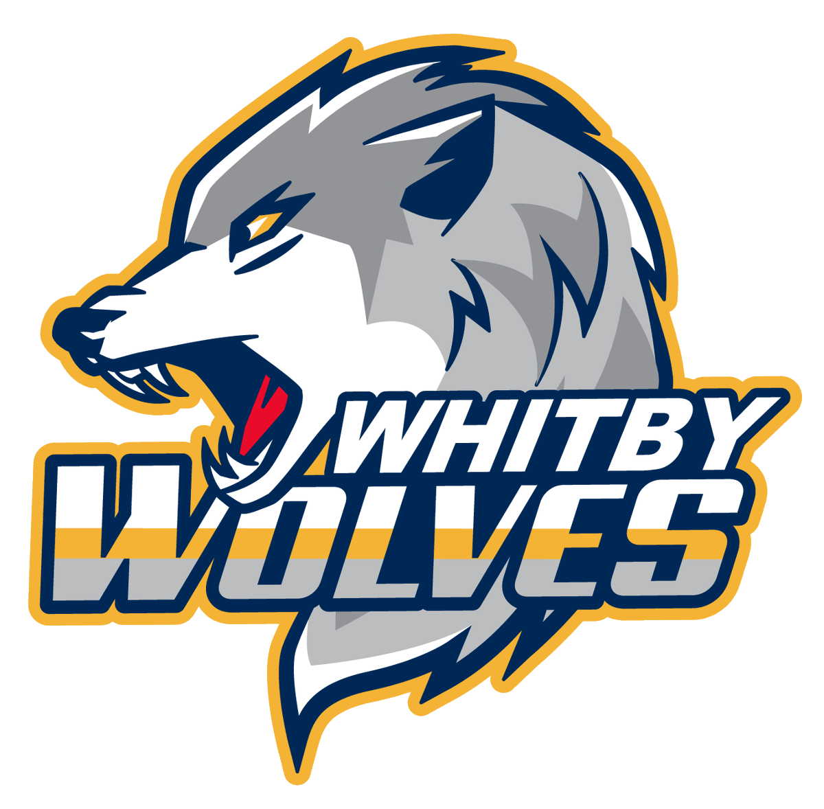 CALLING ALL U9 &amp; U11 WOLVES WE ARE LOOKING FOR GOALIES FOR OUR REP TEAMS!!
