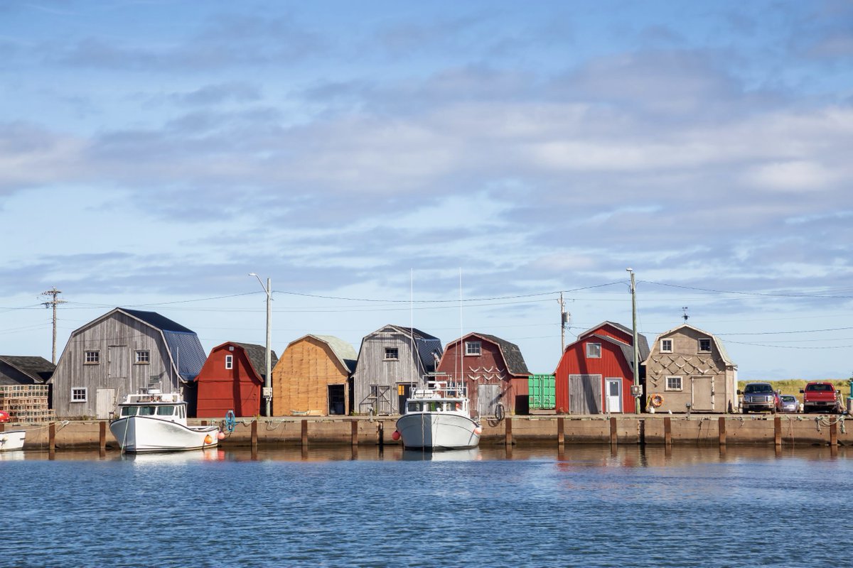 Rainbow Registered | Arc-en-ciel Officiel tweet media