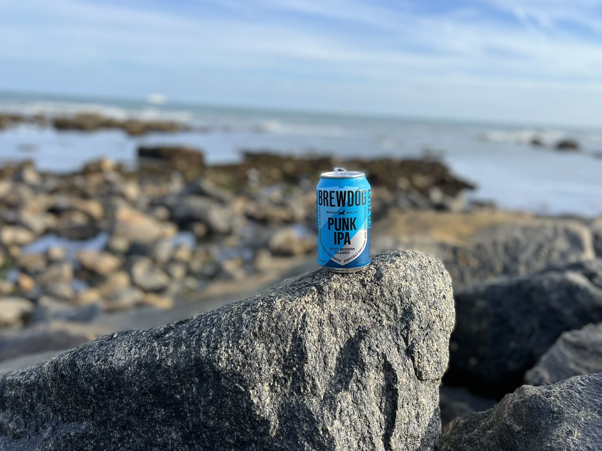 HicksElliot's tweet photo. Chilled Bank Holiday SeaDog IOW !@BrewDog https://t.co/1sNEaFRJ49