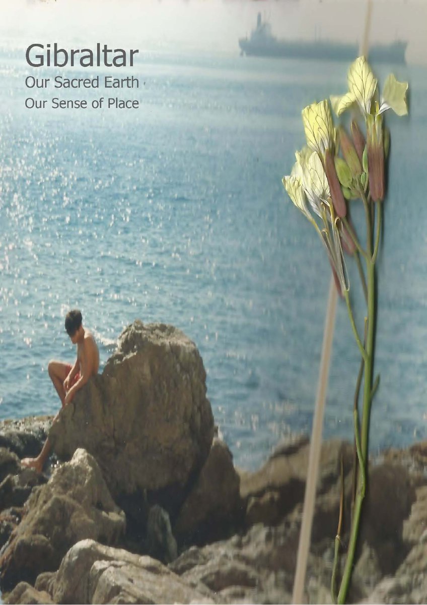 Philippa Beale (@philippabeale) on Twitter photo 