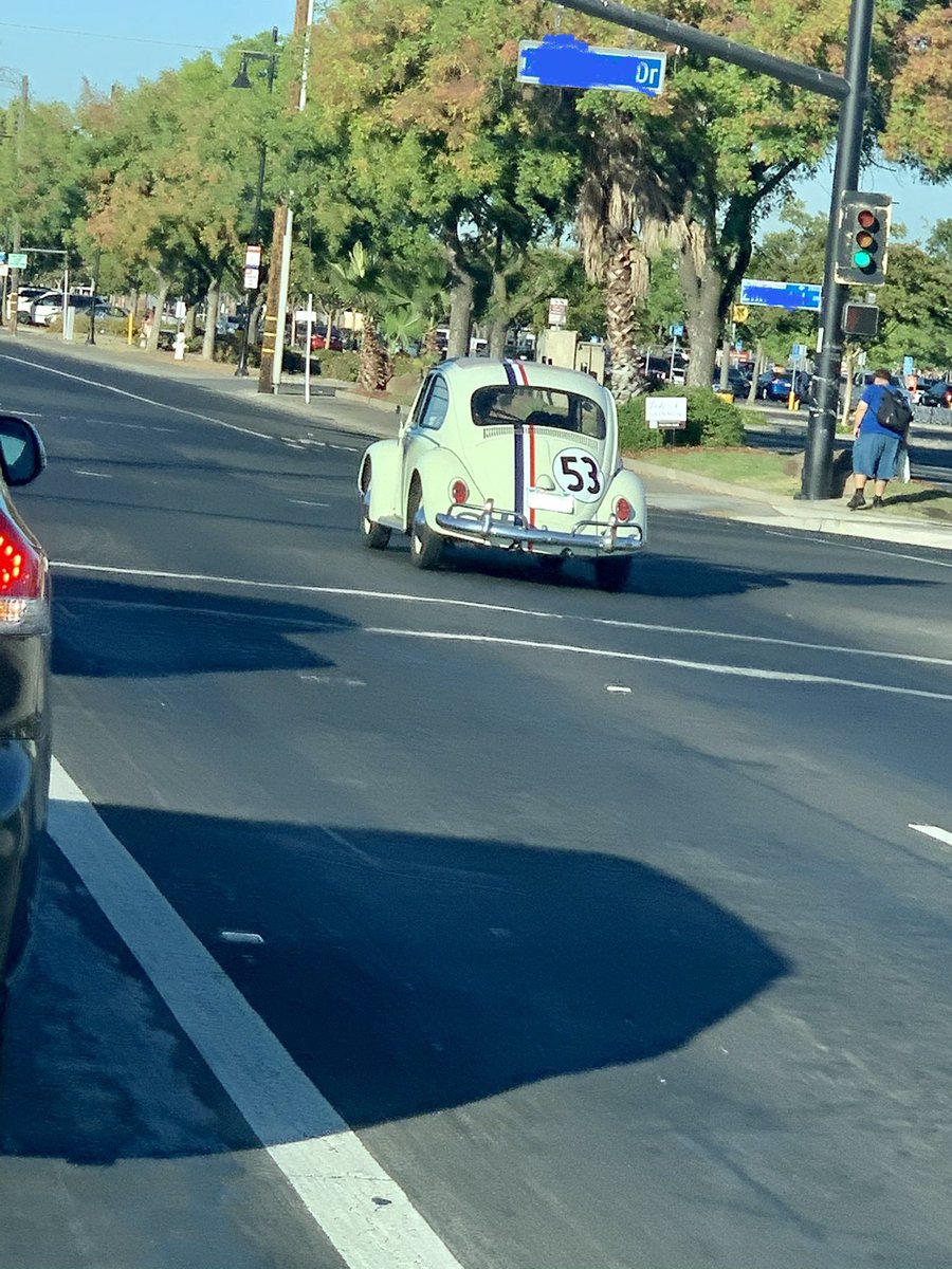 Hey Herbie!! Where ya goin??😃