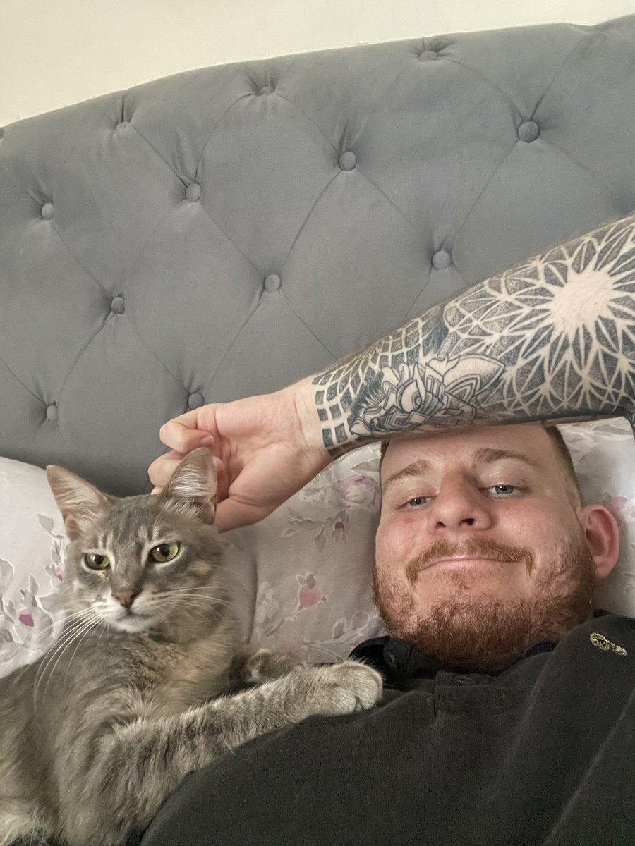 Ginge_m9's tweet photo. Me and Chels rescued a cat from the streets of Cairo (yes the one In Egypt) and she’s honestly the best thing ever. She was found roaming the streets at around 4 weeks old, and now she’s going to get old in stourbridge with us 🥰 https://t.co/V7AkWOqpM6