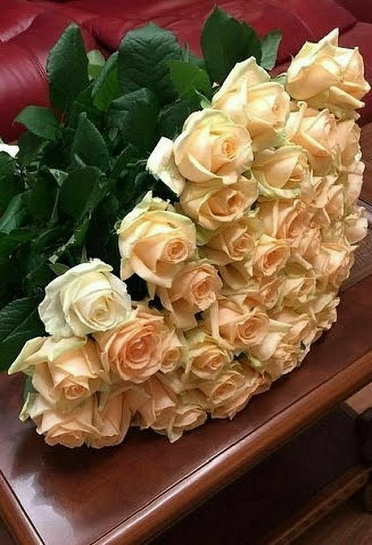 Temiz bir kalp taşımak
Zordur .hep zorlu 
yollara yürürsün
Ama kalbi temiz
Tutarsan .
Her yolda  güzeĺ bir
Son görürsün....

DÜNLERİ  ARATMAYAN
HARİKA BİR AKŞAM
DİLEĞİMLE  DOSTLARIM...