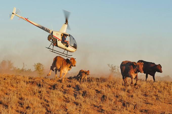 Elly Tumwine's wife visiting Kazo farm in a Plane😂😂
