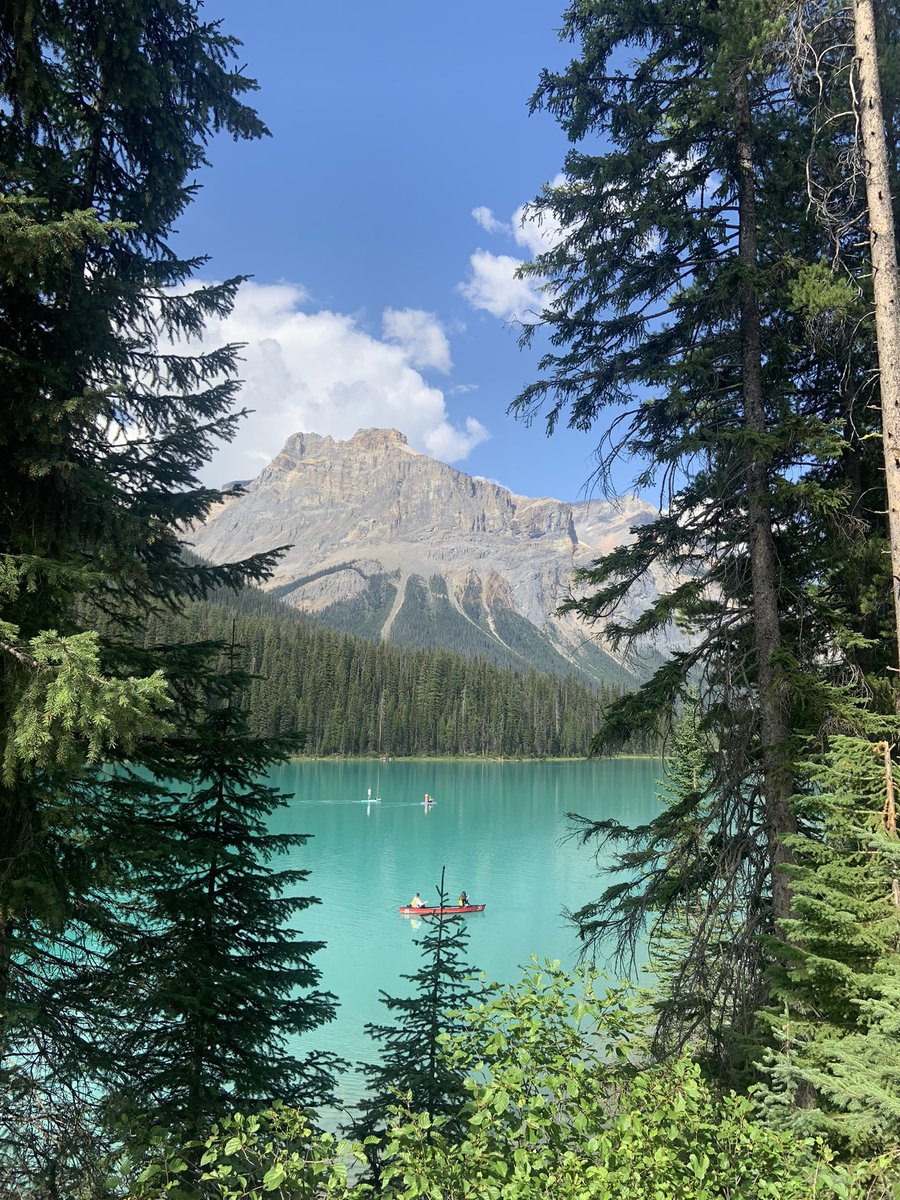 FJFKR's tweet photo. @DanRather Emerald Lake, Yoho National Park 🇨🇦 https://t.co/2Z3v2CvxrS