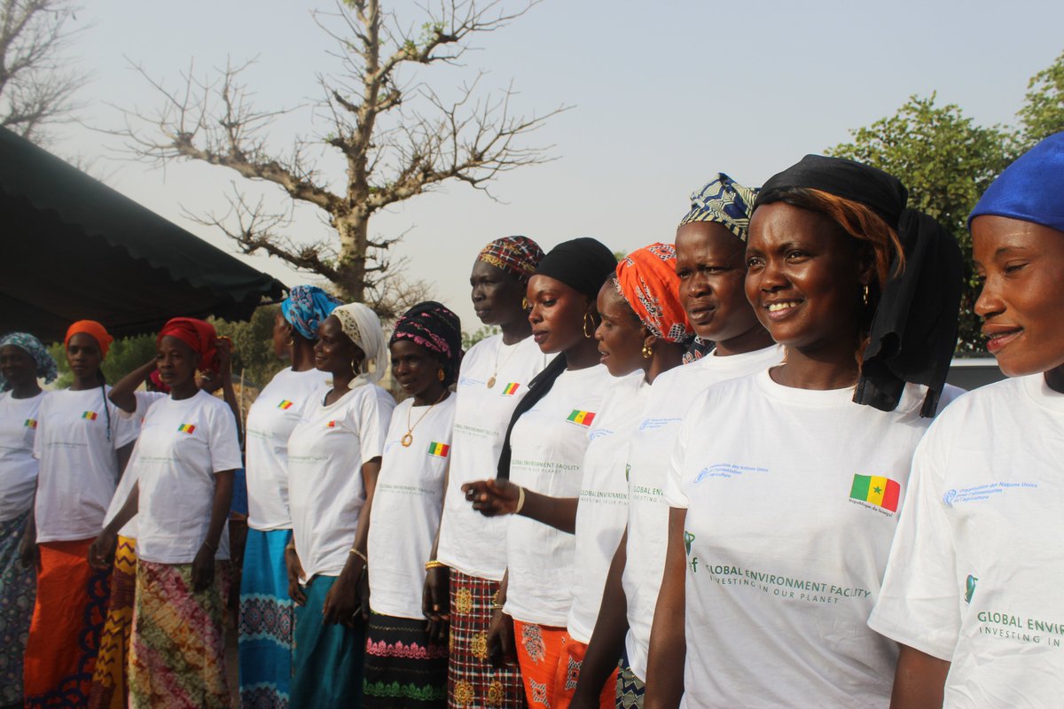 FAO West Africa tweet media