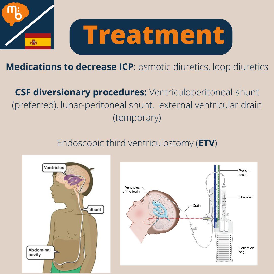 Mission:Brain Complutense tweet media