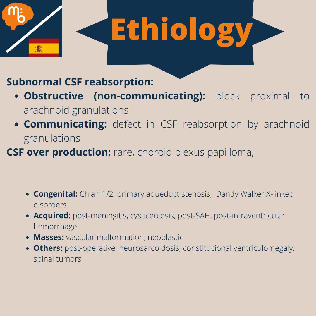 Mission:Brain Complutense tweet media