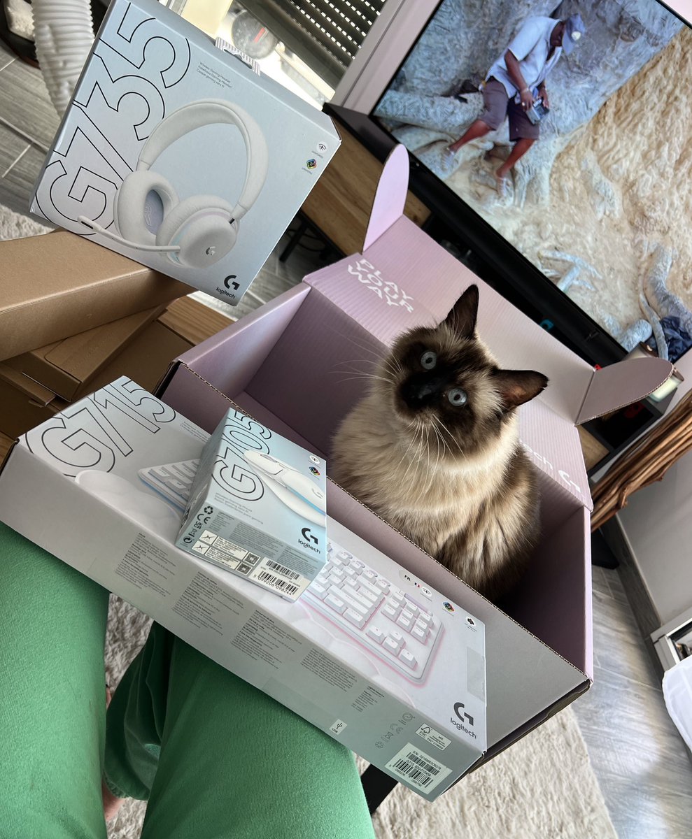 Areliannn's tweet photo. Je lance le live, j’ai reçu un colis bien sympa, on va ouvrir ça en live 💙
Merci @LogitechGFrance les boss 

https://t.co/9L2g3gLkF9
https://t.co/9L2g3gLkF9 https://t.co/WpFhRIyc7o