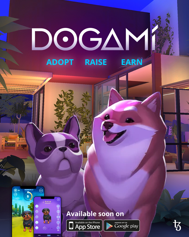 Amandine_chanFR's tweet photo. The project @Dogami will be released this year.. I'm so hyped and you ? 🔥 https://t.co/lIvS0GgxlM
