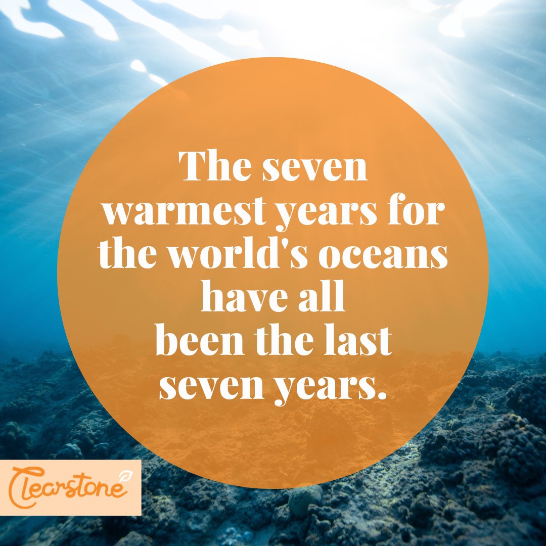 It’s no surprise with the recent heatwaves that global warming is affecting Earth in dangerous ways. 

Find eco-friendly tips and tricks over on our blog at Clearstone.co.uk so you can do your part in helping save our Earth!🌍