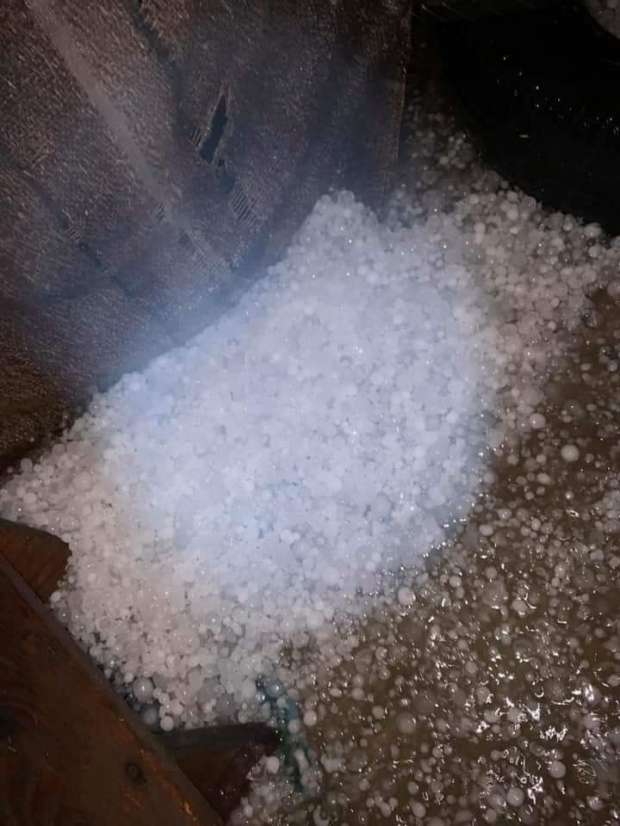 #الصيف_vs_الشتا