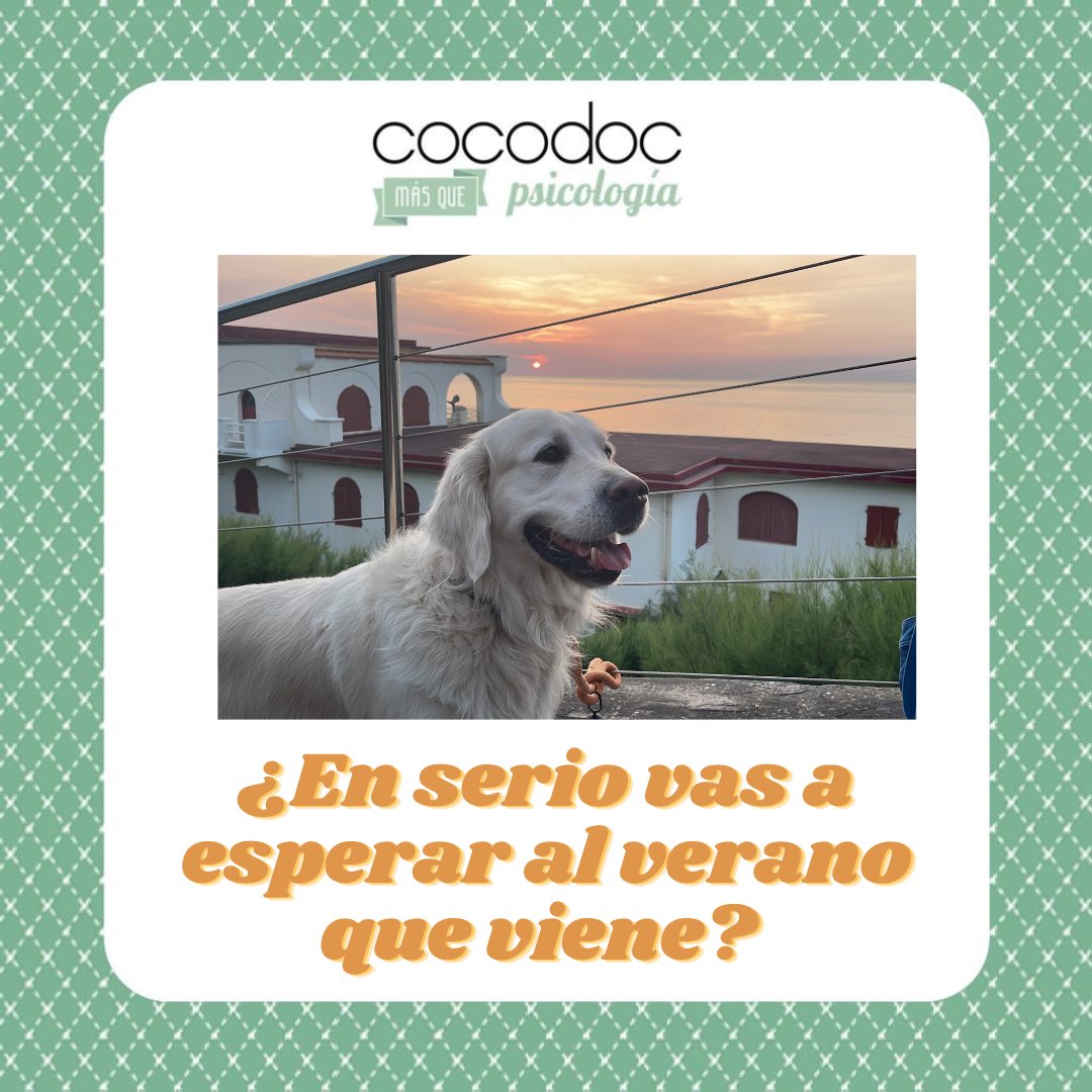 _cocodoc's tweet image. El concierto, la paella de marisco… quién dijo q no se pueden disfrutar durante el año? 
Diseña tu año para alimentar la sensación de bienestar a tiempo real. No esperes. Que lo mismo viene una pandemia… 
#cocodocpsicología 
#psicólogasvitoria 
#vitoriagasteiz