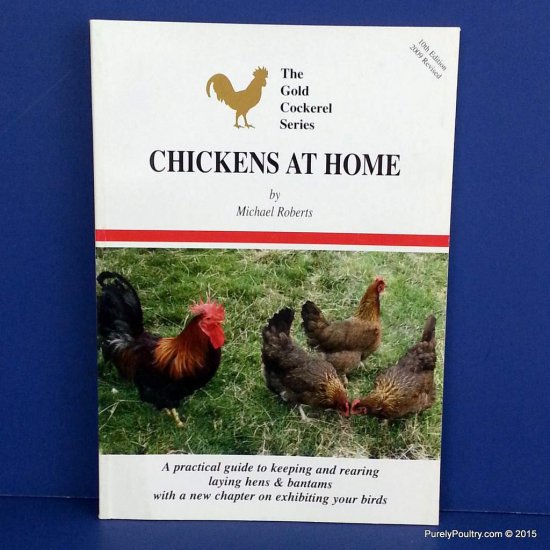 purelypoultry's tweet photo. Research and education is the first step to owning and raising poultry, and one of the best ways to learn is through reading. Learn about  different breeds, diseases, and even the different types of coops. To learn more  visit our website below. 
https://t.co/1CVp5IGId0... https://t.co/8Wk41Qx7qc