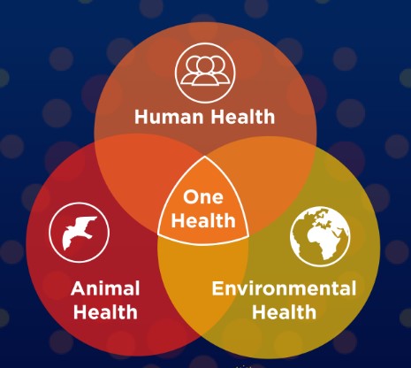 GIL BASHE (@gil_bashe) on Twitter photo Looking forward to joining investors & sector leaders in #animalhealth #humanhealth and #planetaryhealth for conversation in these growing markets. Hosted by global #healthinnovation advocate <a href="/levshapiro/">levshapiro</a>.
@covetrus <a href="/digitalisVC/">Digitalis Ventures</a> <a href="/cevasanteanimal/">Ceva Sante Animale</a>
RSVP: meetup.com/mhealth-israel… Looking forward to joining investors & sector leaders in #animalhealth #humanhealth and #planetaryhealth for conversation in these growing markets. Hosted by global #healthinnovation advocate <a href="/levshapiro/">levshapiro</a>.
@covetrus <a href="/digitalisVC/">Digitalis Ventures</a> <a href="/cevasanteanimal/">Ceva Sante Animale</a>
RSVP: meetup.com/mhealth-israel…