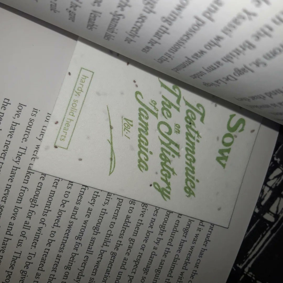 intergraphiabks's tweet photo. #intergraphiarecommends Testimonies on The Histories of Jamaica Vol 1, by Zakiya McKenzie. Published by @roughtradebooks in partnership with @gardenmuseum in 2021, it includes a paper of wildflower seeds. A lovely thing. https://t.co/fp6lfVqxoo